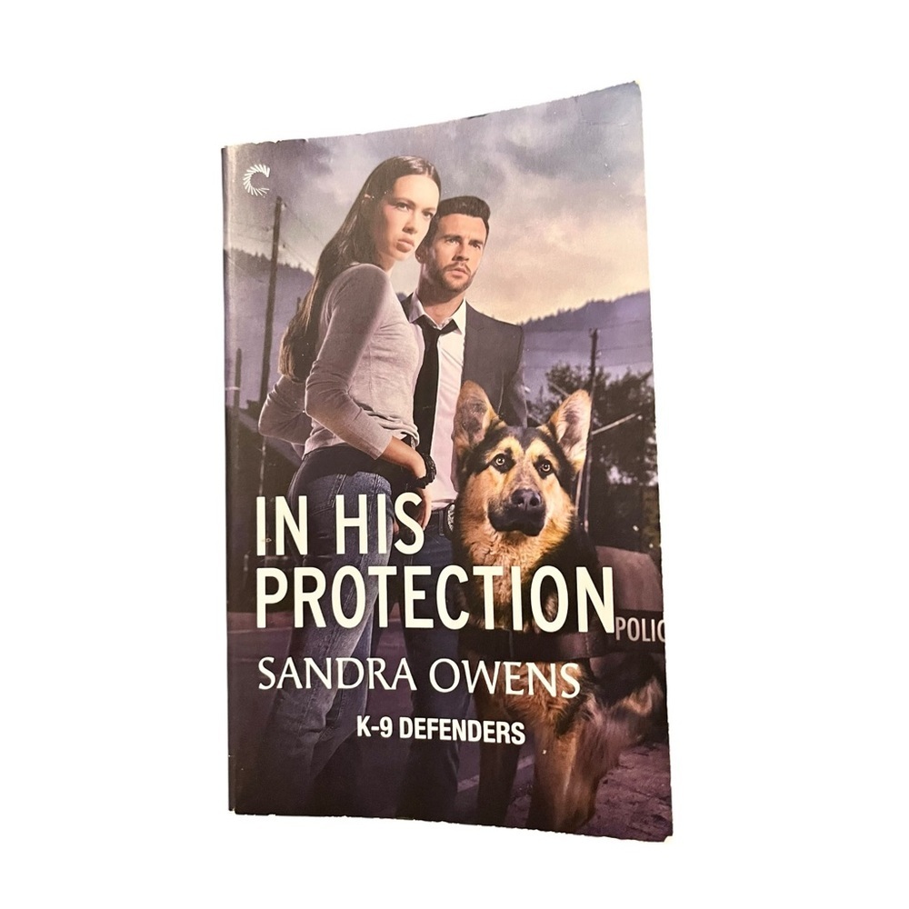 In His Protection by Sandra Owens Romance/Suspense